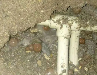 东光卫生间测漏