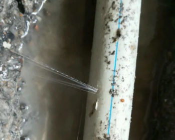 东光卫生间测漏水多少钱